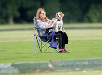 polo spectator in chair with dog on lap