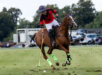 polo action End of Season tournament, Cirencester Park
