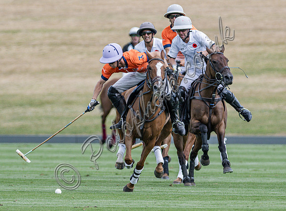 Polo action, 2025 Gold Cup, Cowdray Park Polo Club