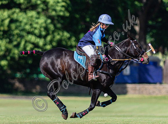 Henderson Rosebowl polo at Beaufort Polo Club
