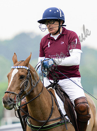 Alejandro Aznar patron, polo player, businessman