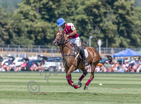 polo action Gold Cup quarter finals 2022, Cowdray Park Polo Club