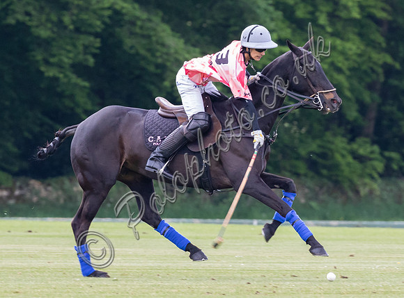 Polo action, Gerald Balding Cup 2022, Cirencester Park