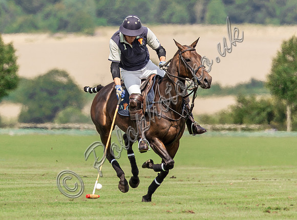 Polo action, The Neil Hague Cup, Cirencester Park