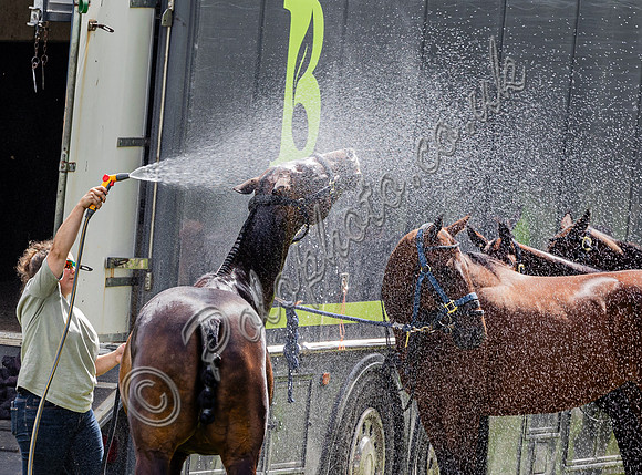 Polo action, Holden White Final 2024, Cowdray Park Polo Club