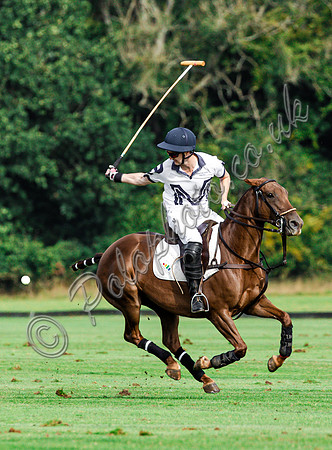 Polo action and presentation of the Syreford Plate NPM subsidiary at Cirencester Park