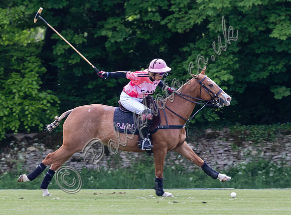 Polo action, Gerald Balding Cup 2022, Cirencester Park