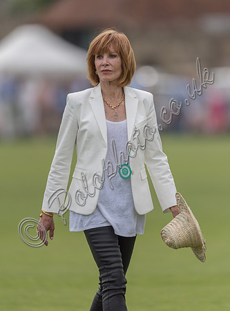 Treading in the divots at half-time at polo match