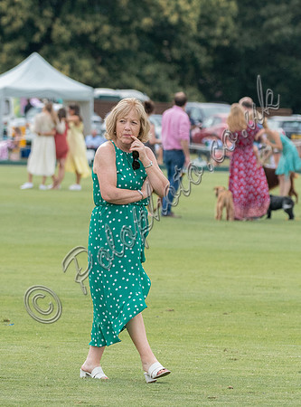 Treading in the divots at half-time at polo match
