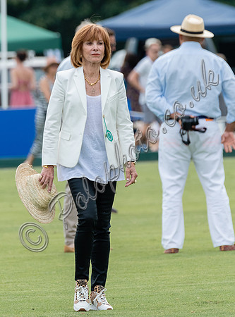 Treading in the divots at half-time at polo match