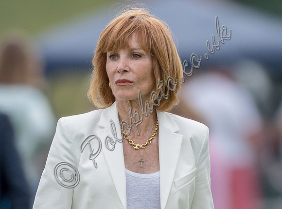 Treading in the divots at half-time at polo match