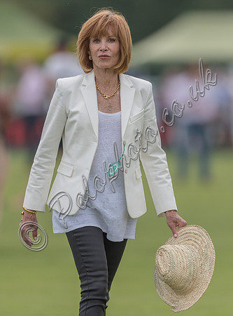 Treading in the divots at half-time at polo match