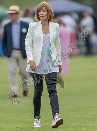 Treading in the divots at half-time at polo match