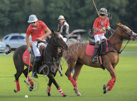 polo action between Foxcote and CPPC