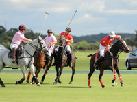 polo action between Foxcote and CPPC