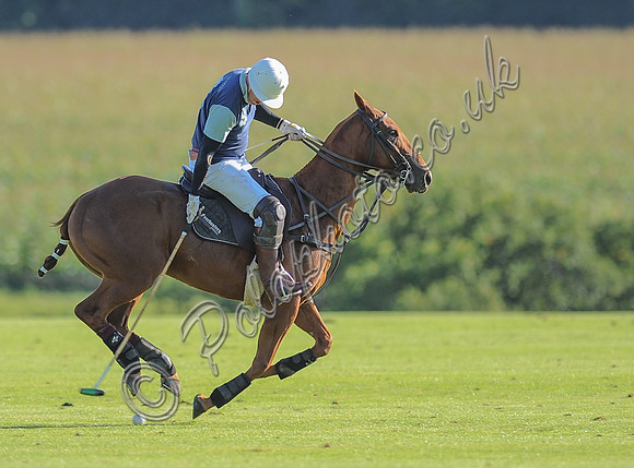 polo action between Noon Giraffe and Claremount