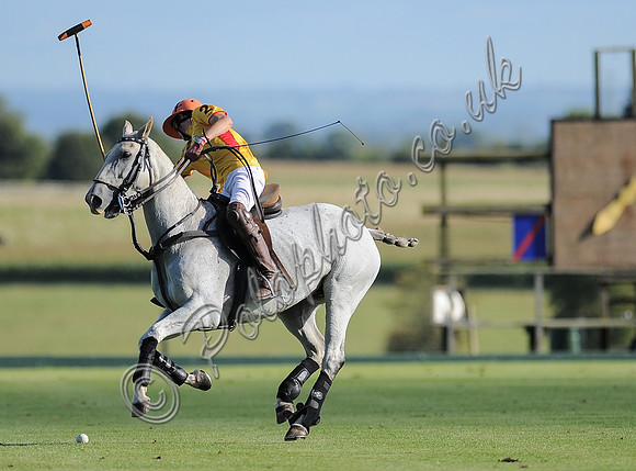 polo action between Noon Giraffe and Claremount