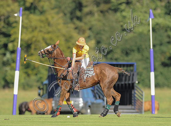 polo action between Noon Giraffe and Claremount