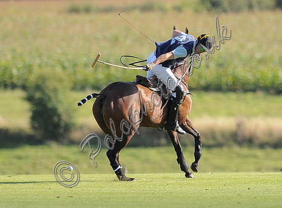 polo action between Noon Giraffe and Claremount