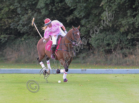 polo action between Foxcote Manor and NPT