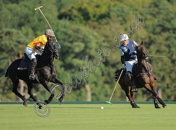 polo action between Noon Giraffe and Claremount