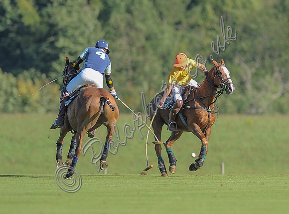polo action between Noon Giraffe and Claremount