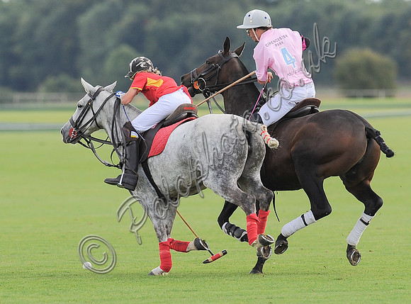 polo action between Foxcote and CPPC