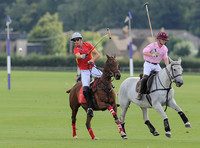polo action between Foxcote and CPPC