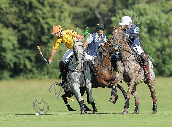 polo action between Noon Giraffe and Claremount
