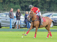 polo action between Foxcote and CPPC