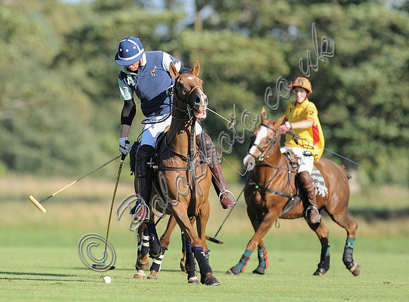 polo action between Noon Giraffe and Claremount