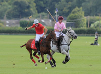 polo action between Foxcote and CPPC