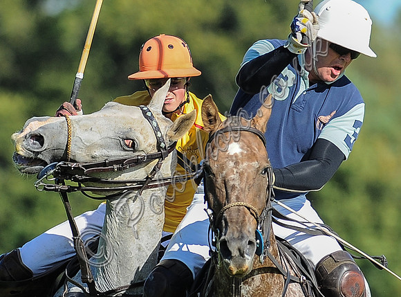 polo action between Noon Giraffe and Claremount