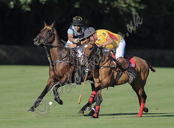 polo action between Noon Giraffe and Claremount