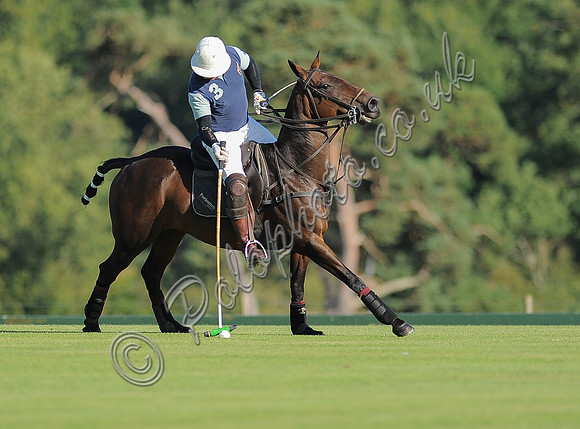 polo action between Noon Giraffe and Claremount
