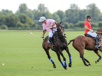 polo action between Foxcote and CPPC