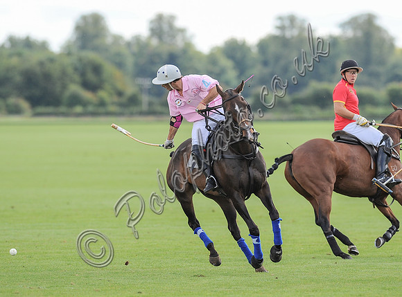 polo action between Foxcote and CPPC