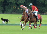 polo action between Foxcote and CPPC