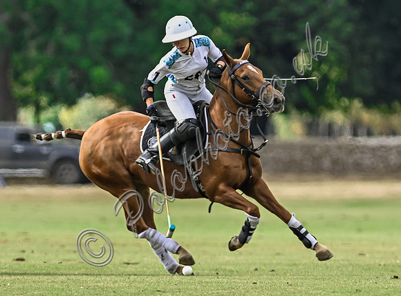 Polo action, Wichenford Bowl 2025 semi-final match, Beaufort Polo Club