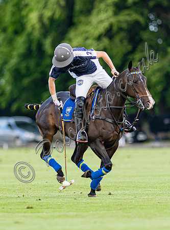 Polo action, Babdown  Cup, Beaufort Polo Club