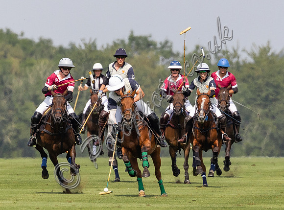 Polo Action -  the Owl Trophy Final