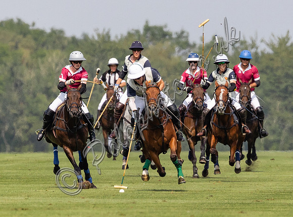 Polo Action -  the Owl Trophy Final