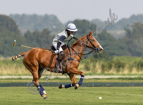 Polo Action -  the Owl Trophy Final