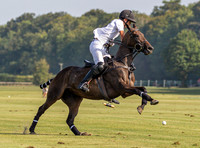 Polo action, County Cup 2025 league match, Cirencester Park