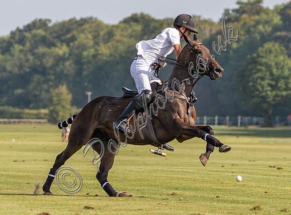 Polo action, County Cup 2025 league match, Cirencester Park