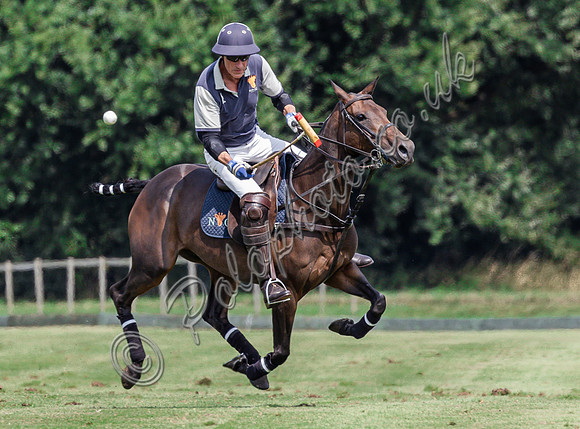 Polo action, The Neil Hague Cup, Cirencester Park