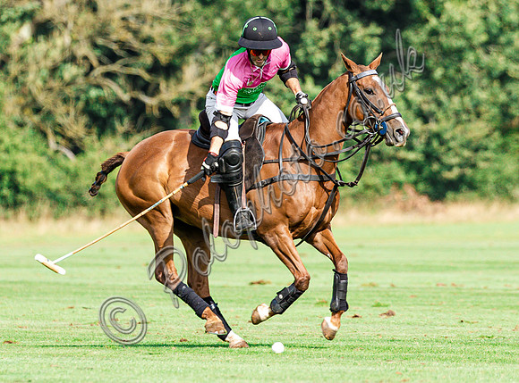 Polo action and presentation of the Syreford Plate NPM subsidiary at Cirencester Park