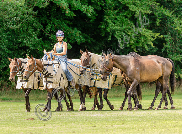 Polo action, The Neil Hague Cup, Cirencester Park
