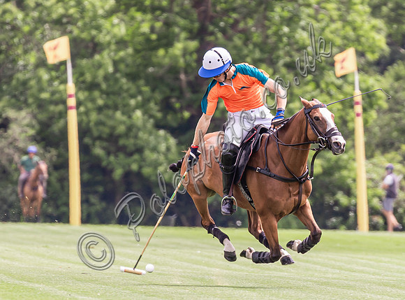 Polo action, 2024 Gold Cup, Cowdray Park Polo Club