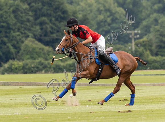 Polo action, June 12 Goal, Cirencester Park